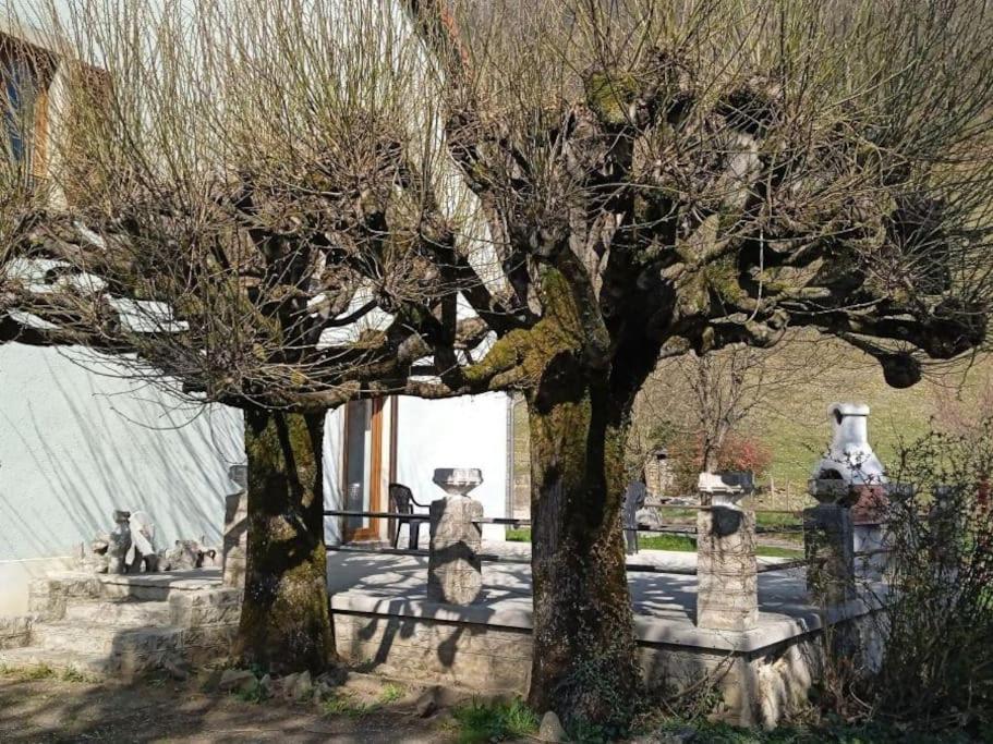 Gite A La Bonne Fermiere Nevy-Sur-Seille Esterno foto